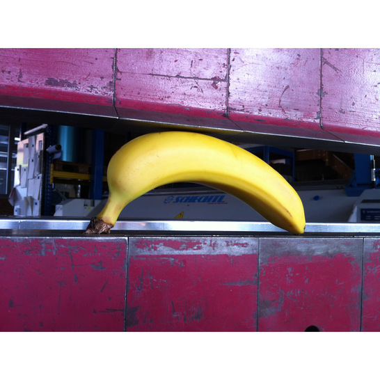 Klempner-Banane - © BAUMETALL
