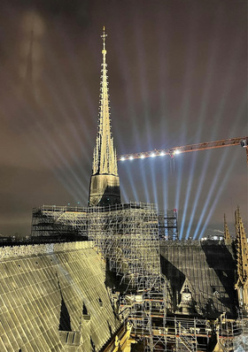 © Bild: Balas Machen auch bei Nacht eine gute Figur: die Gauben auf dem Hauptdach der Kathedrale von Notre-Dame de Paris